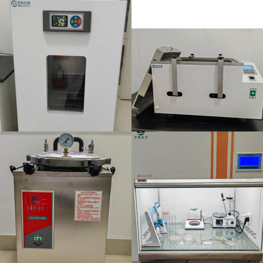 细节见健康:一份守护家人的抗菌消臭指南